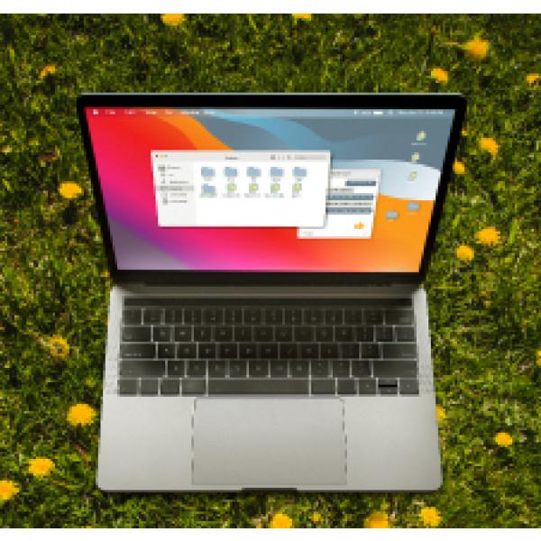 Computer & Laptops